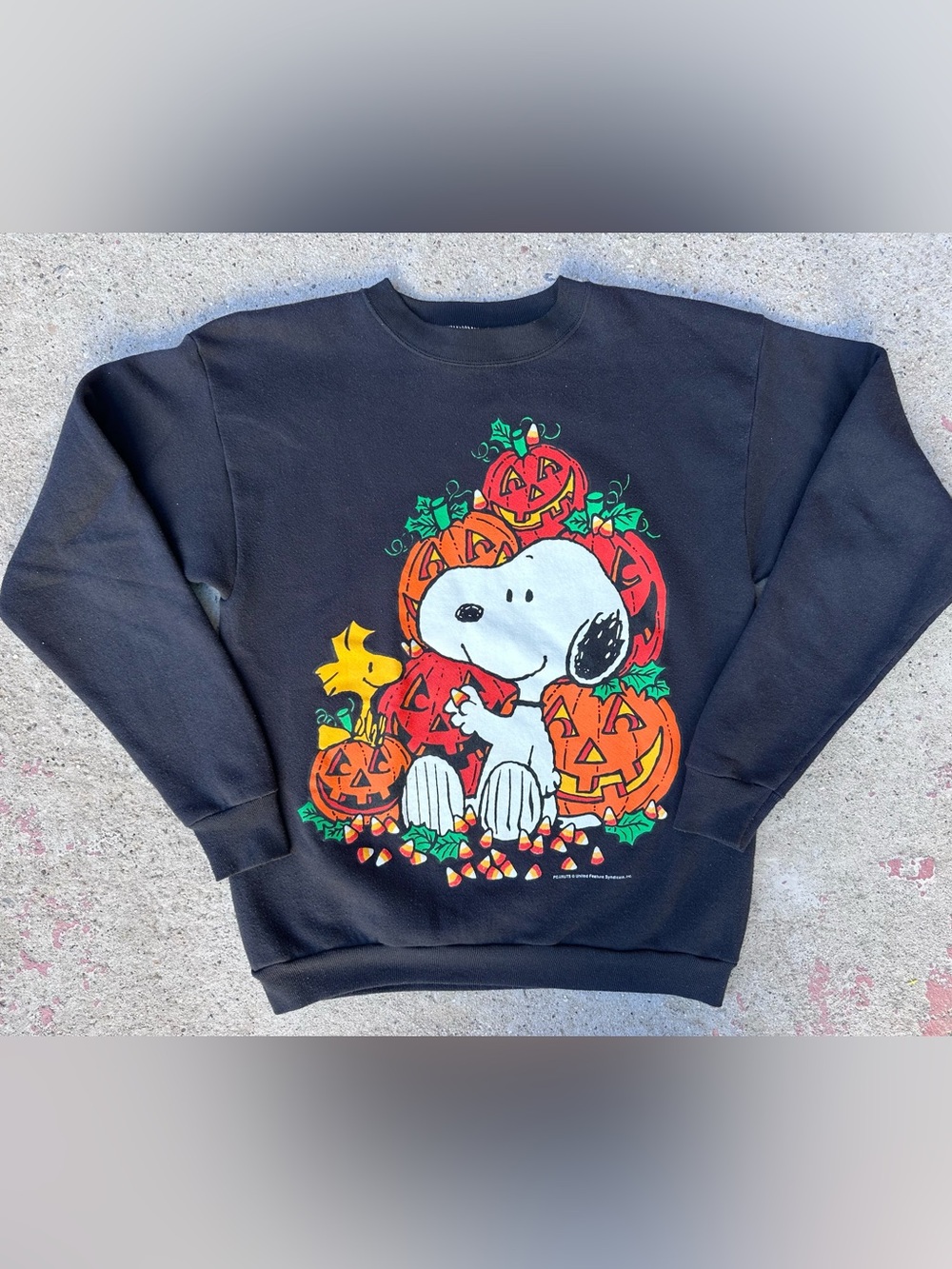 Vtg 90s Peanuts Snoopy & Woodstock Pumpkins Halloween Sweatshirt Sz L Holiday - Picture 2 of 9